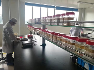 首战双11的义乌外贸工厂 按需生产不开网店也卖全国